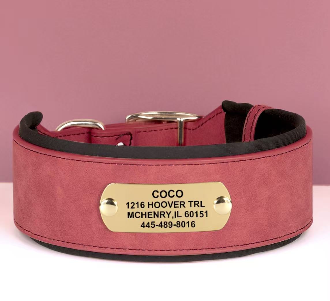 Red wide leather dog collar with engraved gold nameplate “Coco”.