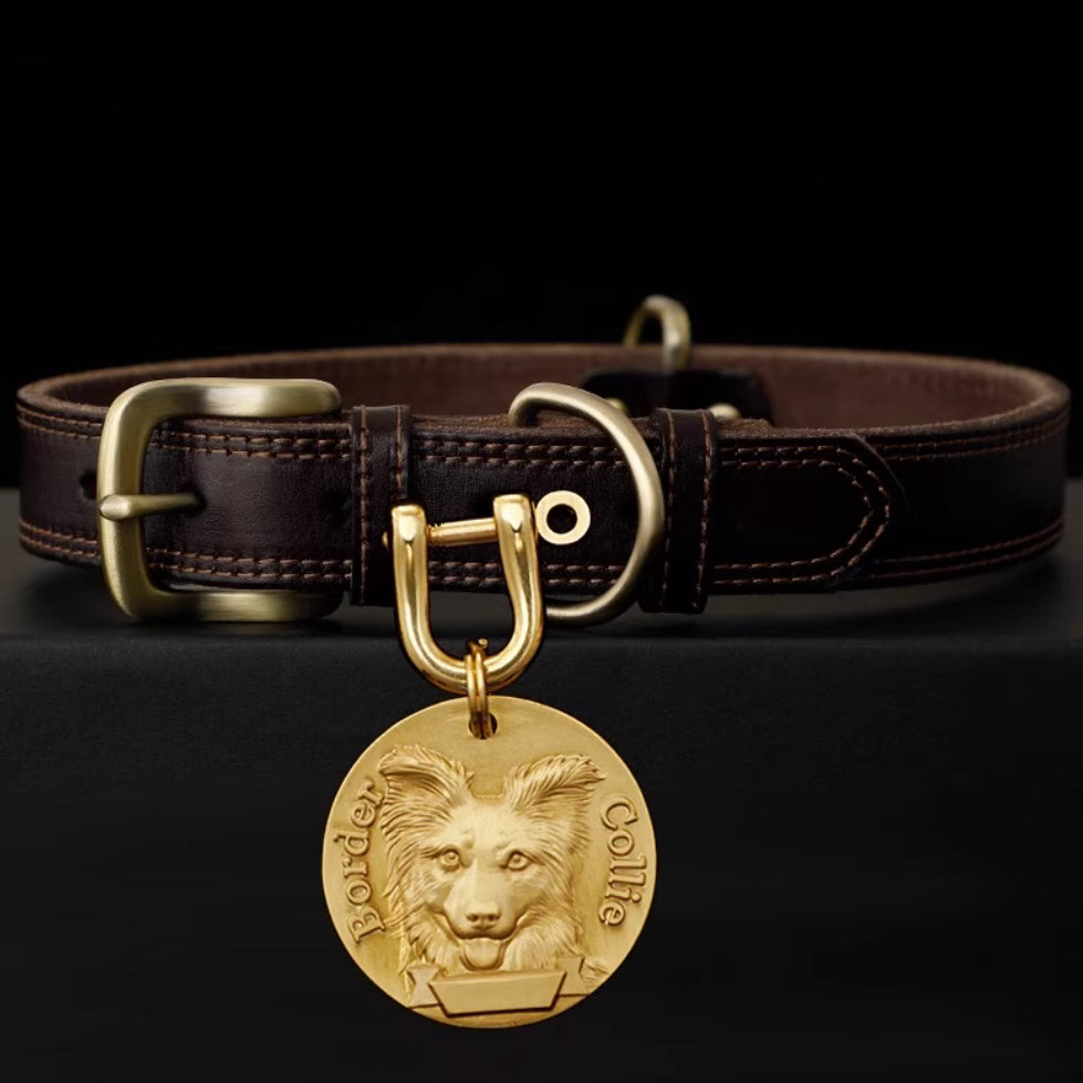 Classic brown leather dog collar with Border Collie brass medallion.