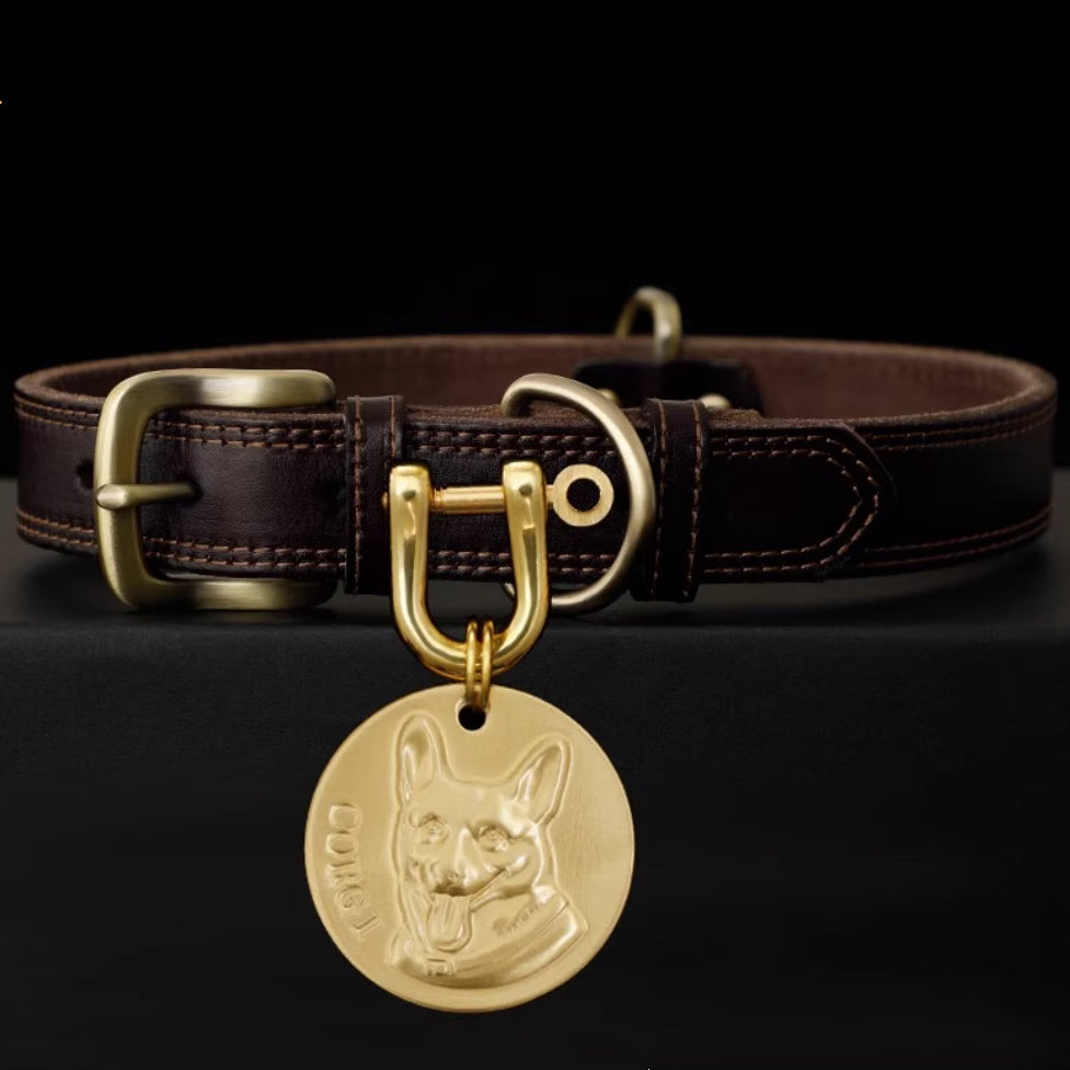 Leather collar with engraved Corgi face brass tag.