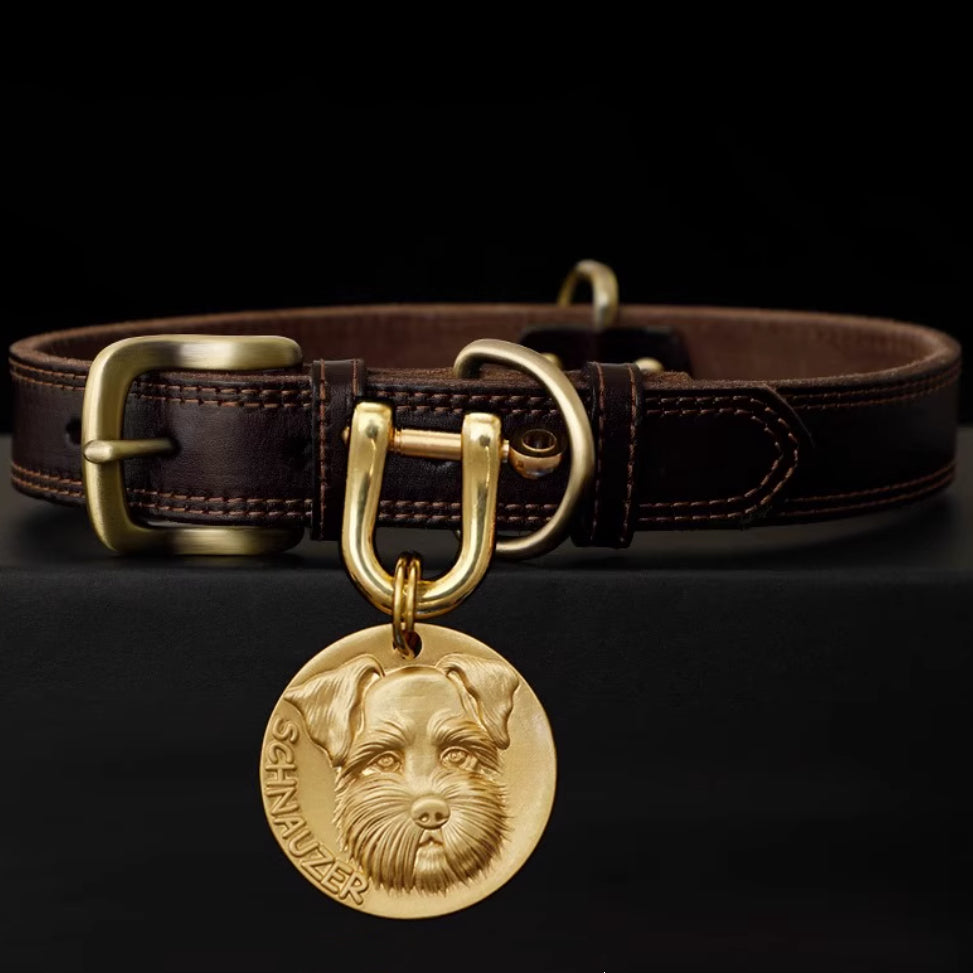 Handcrafted leather dog collar with brass Schnauzer medallion tag.