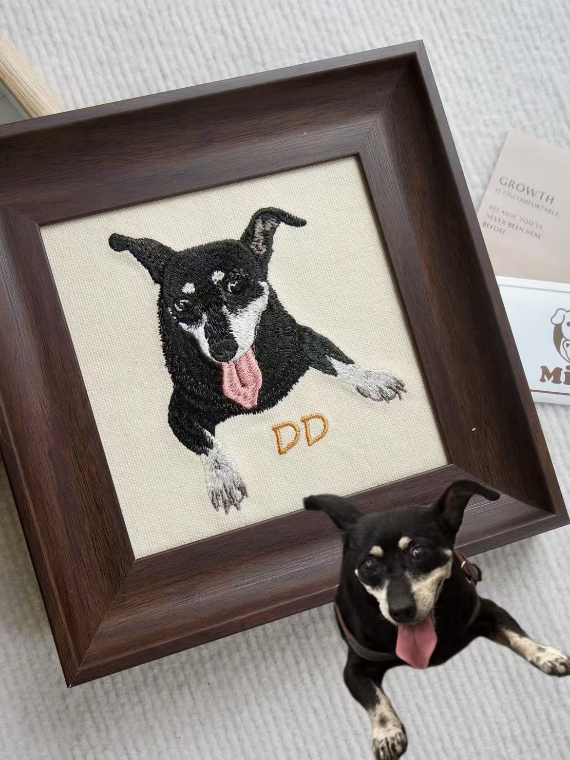 Close-up Stitching Details of Dog