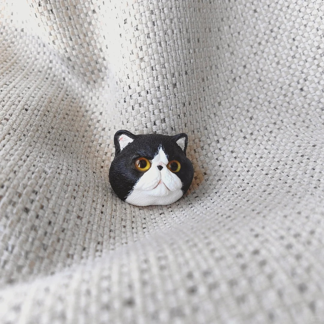 Black cat magnetic plaster portrait – detailed 3D head