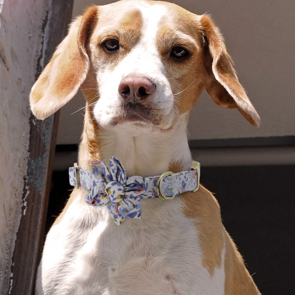 Close-up collage showing floral dog collar buckle, D-ring, and stitching details with engraved nameplate “Luna”.