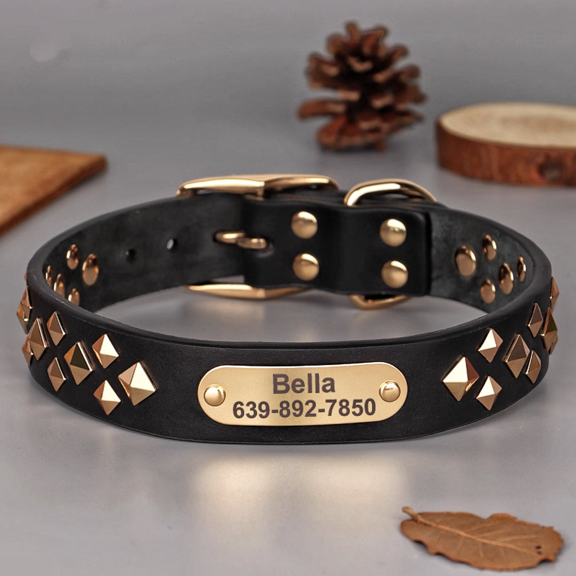 Black leather dog collar with gold pyramid studs and engraved ID tag.