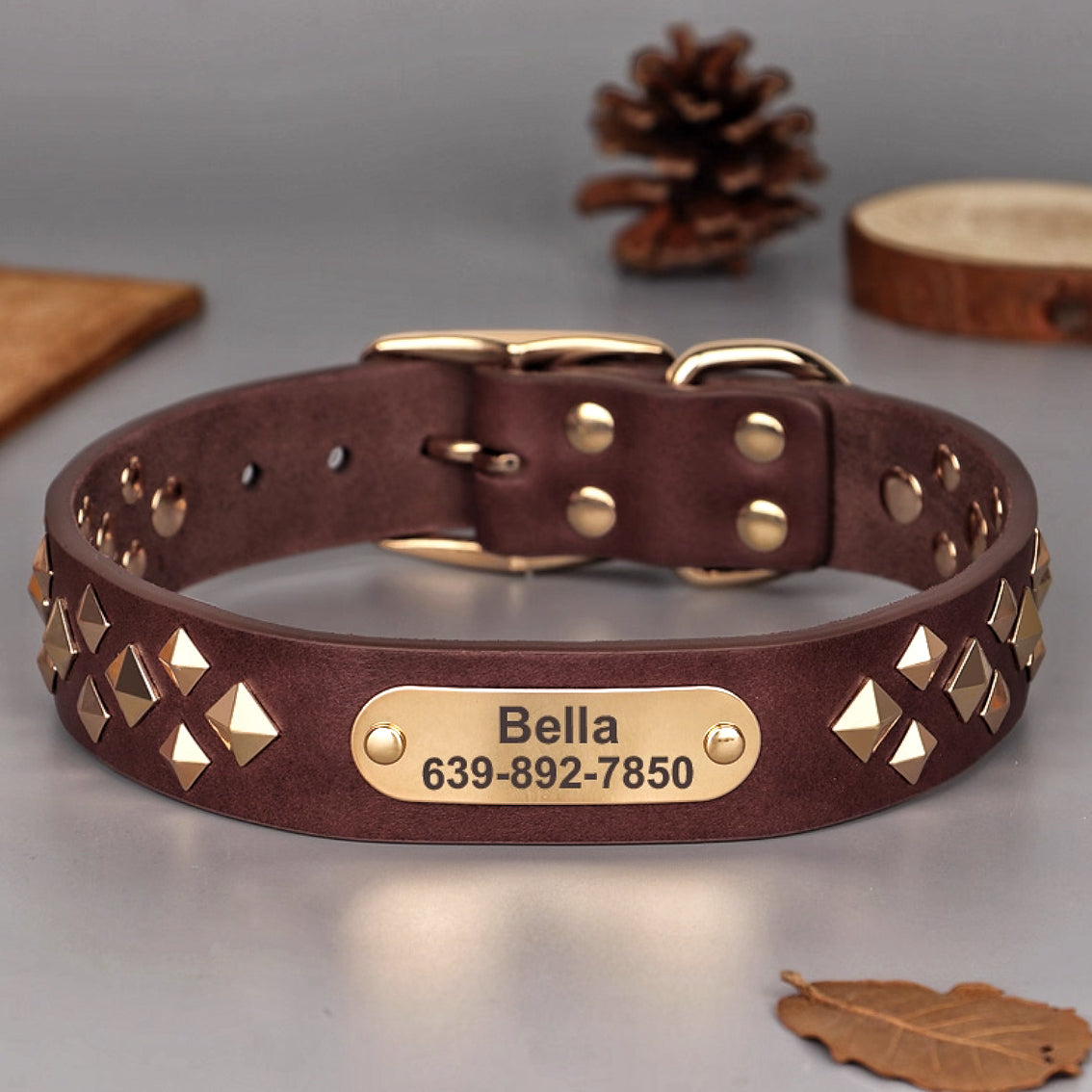 Brown leather dog collar with gold studs and custom engraved metal nameplate.