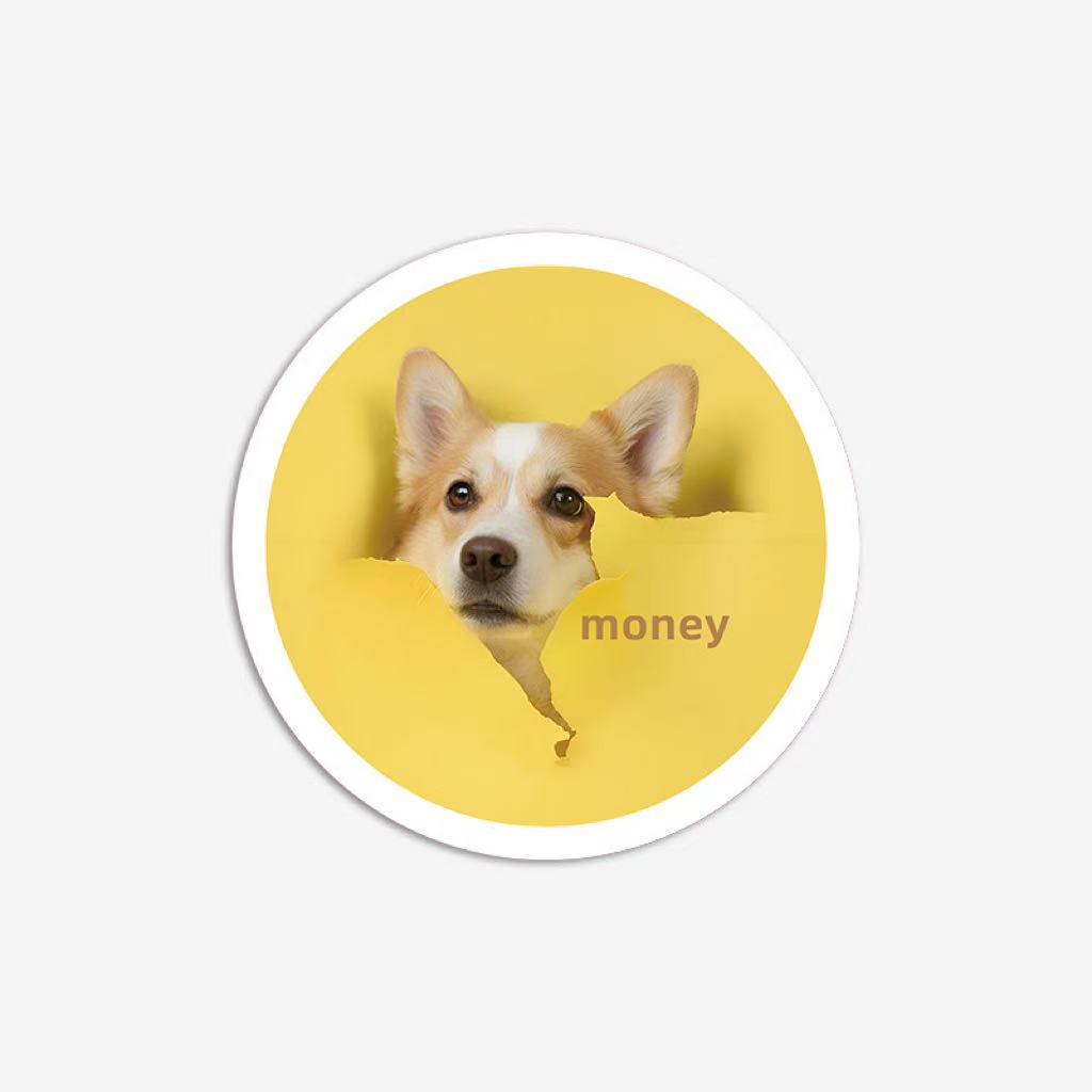 Corgi photo rug with yellow torn paper design and text “money,” soft faux shearling carpet.