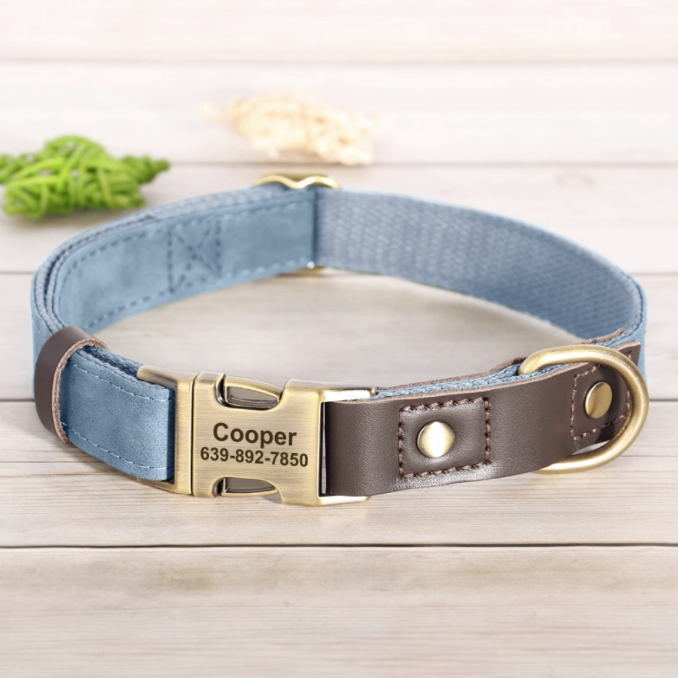 Light blue personalized dog collar with custom engraved name and phone