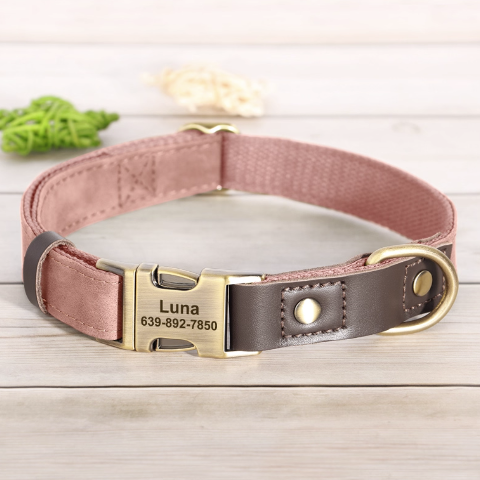 Pink engraved dog collar with brass buckle and brown PU leather accent