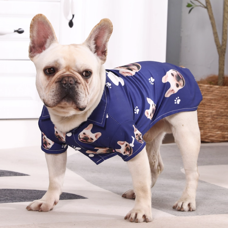 French bulldog modeling royal blue custom Hawaiian shirt indoors