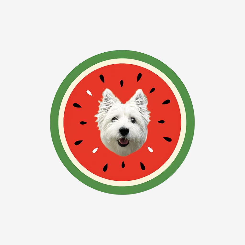 Custom dog rug with watermelon pattern, featuring a white dog portrait on faux shearling.