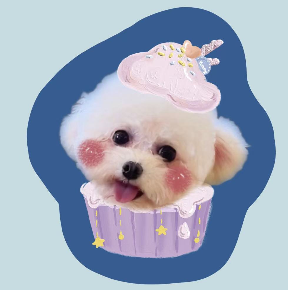 Bichon dog pillow in cupcake design