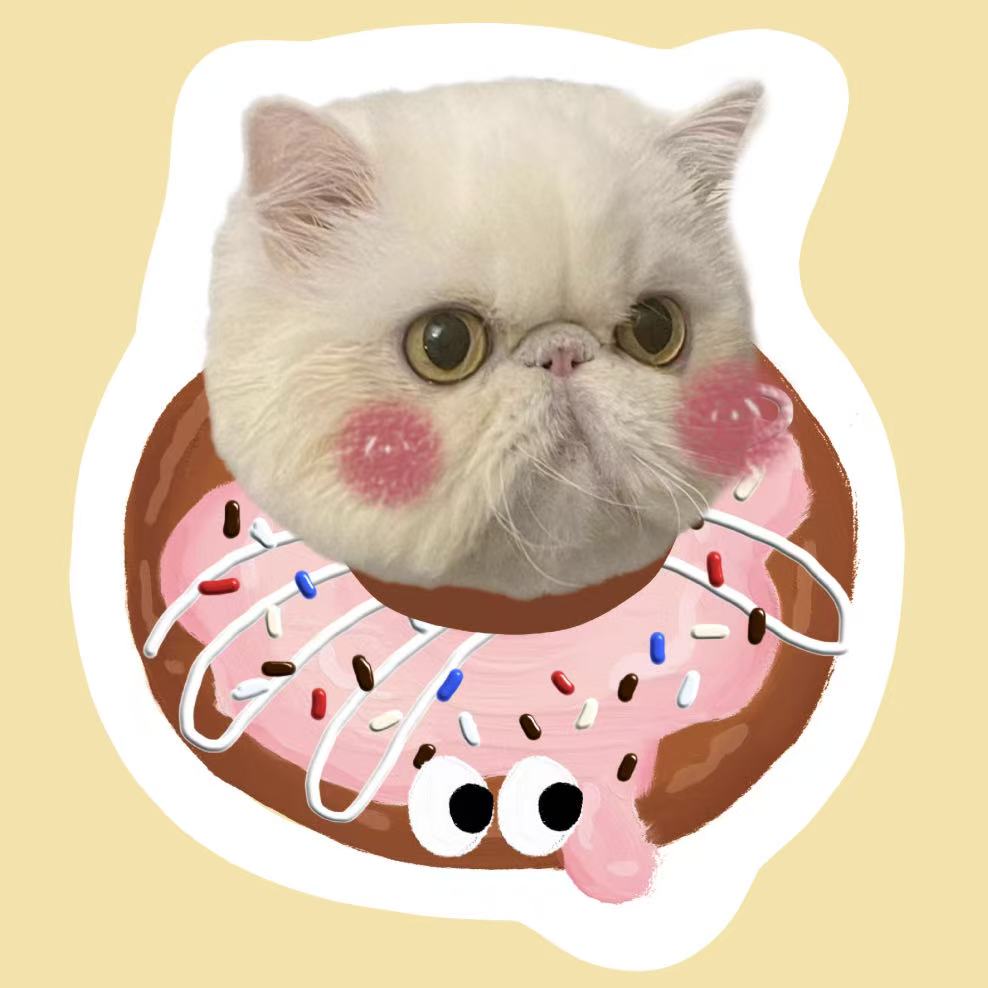 Custom cat pillow with donut design
