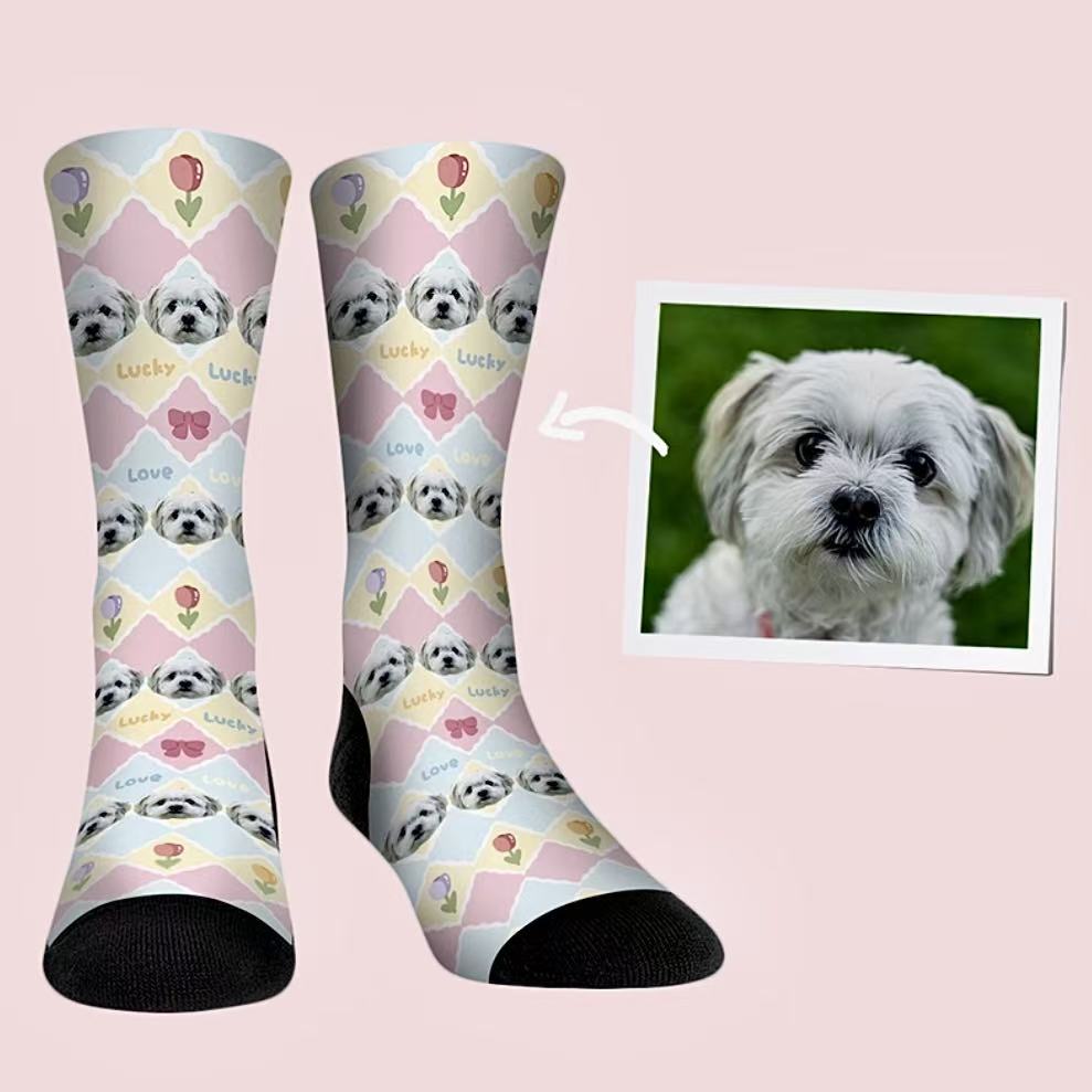 Cute pastel dog socks with hearts and love pattern