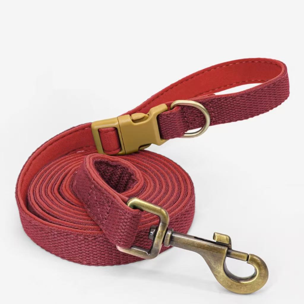Red webbing and neoprene dog leash with padded handle and brass snap.