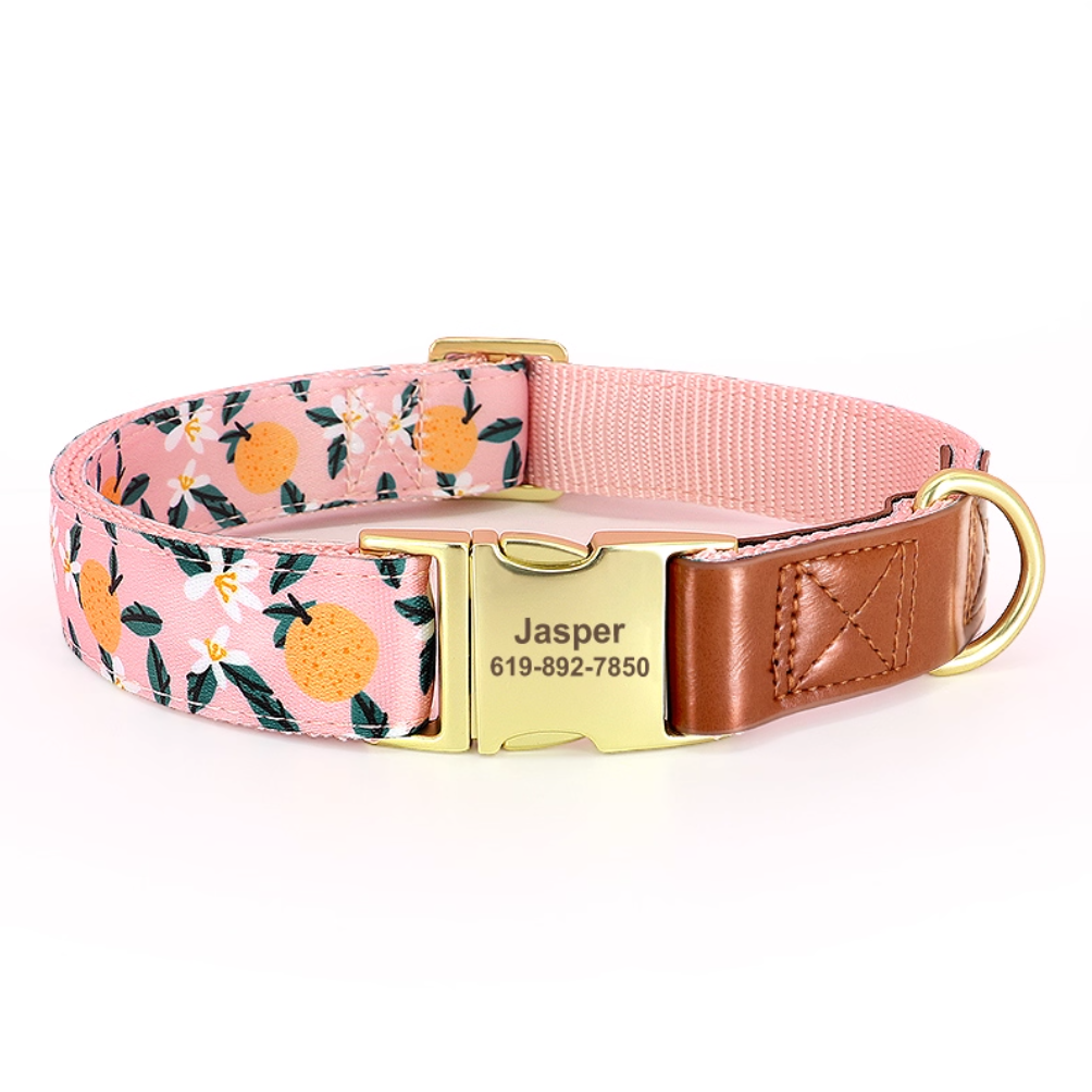 Orange citrus pattern dog collar with engraved gold buckle and brown stitched leather.