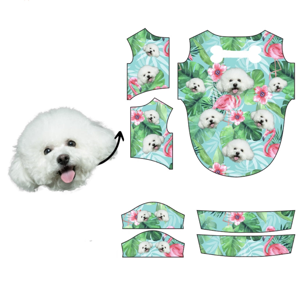 Cavalier King Charles Spaniel face pattern with palm trees and sunset sky background
