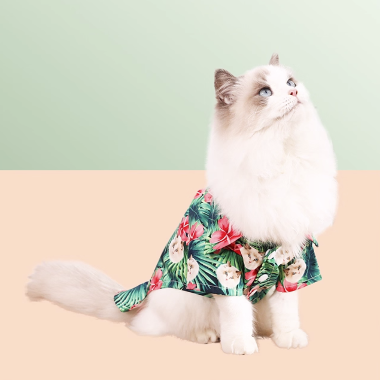 White cat wearing custom pet face Hawaiian shirt with tropical floral pattern