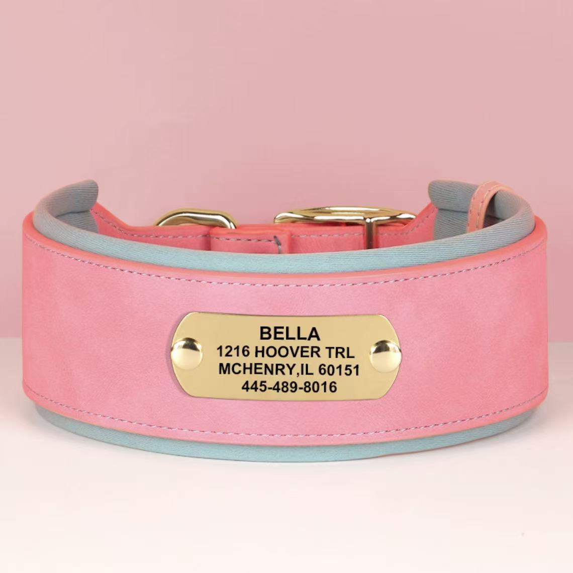 Pink wide leather dog collar with engraved gold nameplate “Bella”.