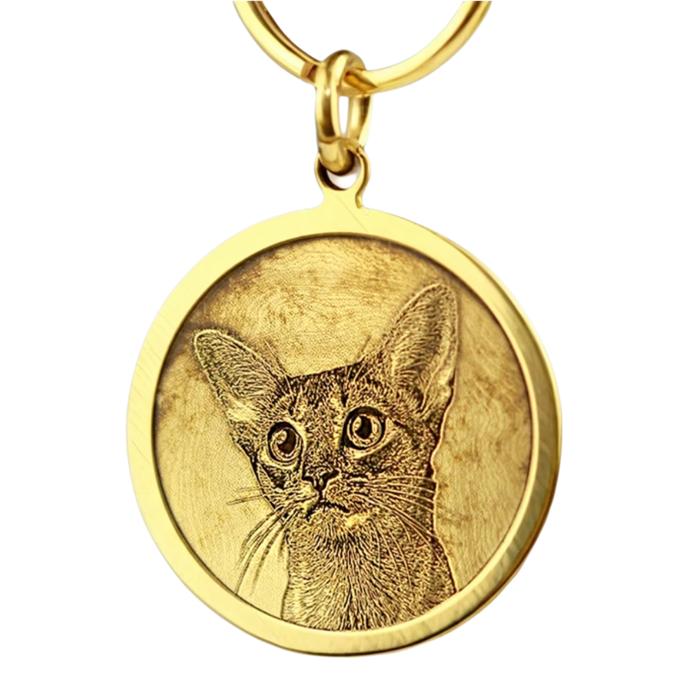 Custom round brass pet tag with deep engraved cat portrait in 3D relief.