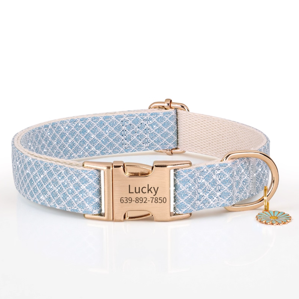 Sky blue custom nylon dog collar with engraved gold buckle and light blue daisy charm.