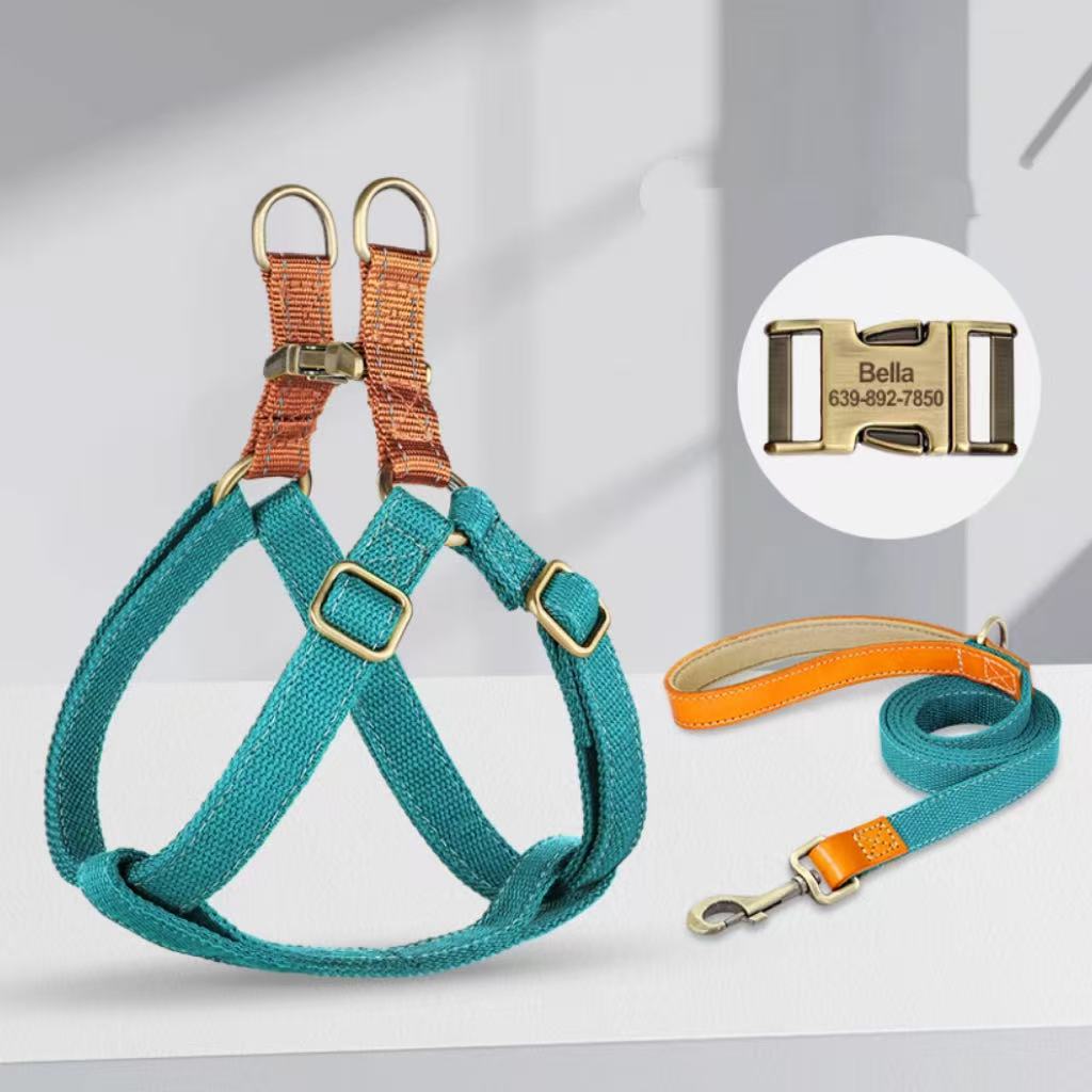 Teal blue reflective dog harness with custom engraved buckle and orange accent leash.