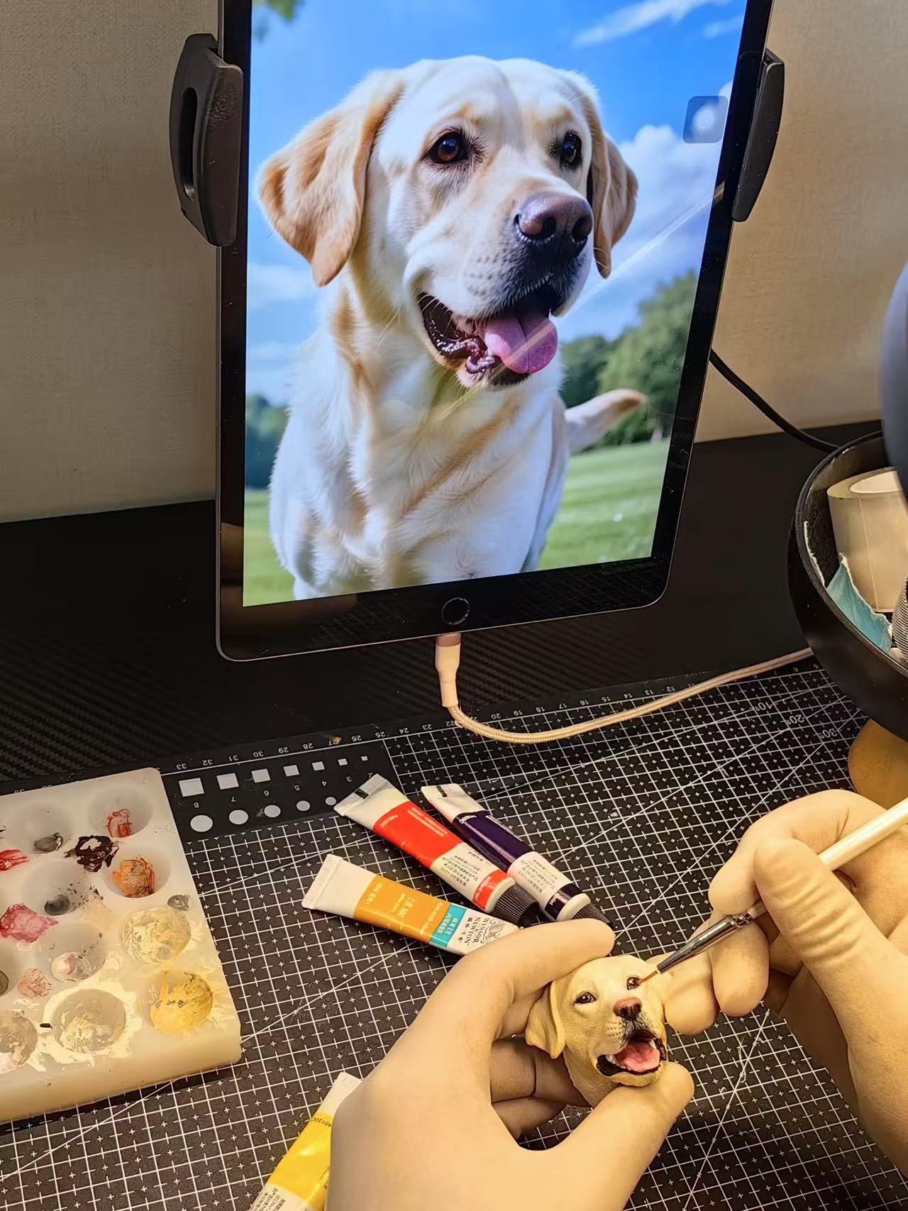 Douu Pet Customization-Giving shape to love