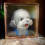 Realistic custom pet sculpture of a fluffy gray poodle, displayed in a square transparent case with bronze edges