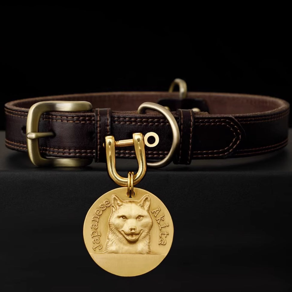 Leather dog collar with engraved brass tag featuring Akita portrait.