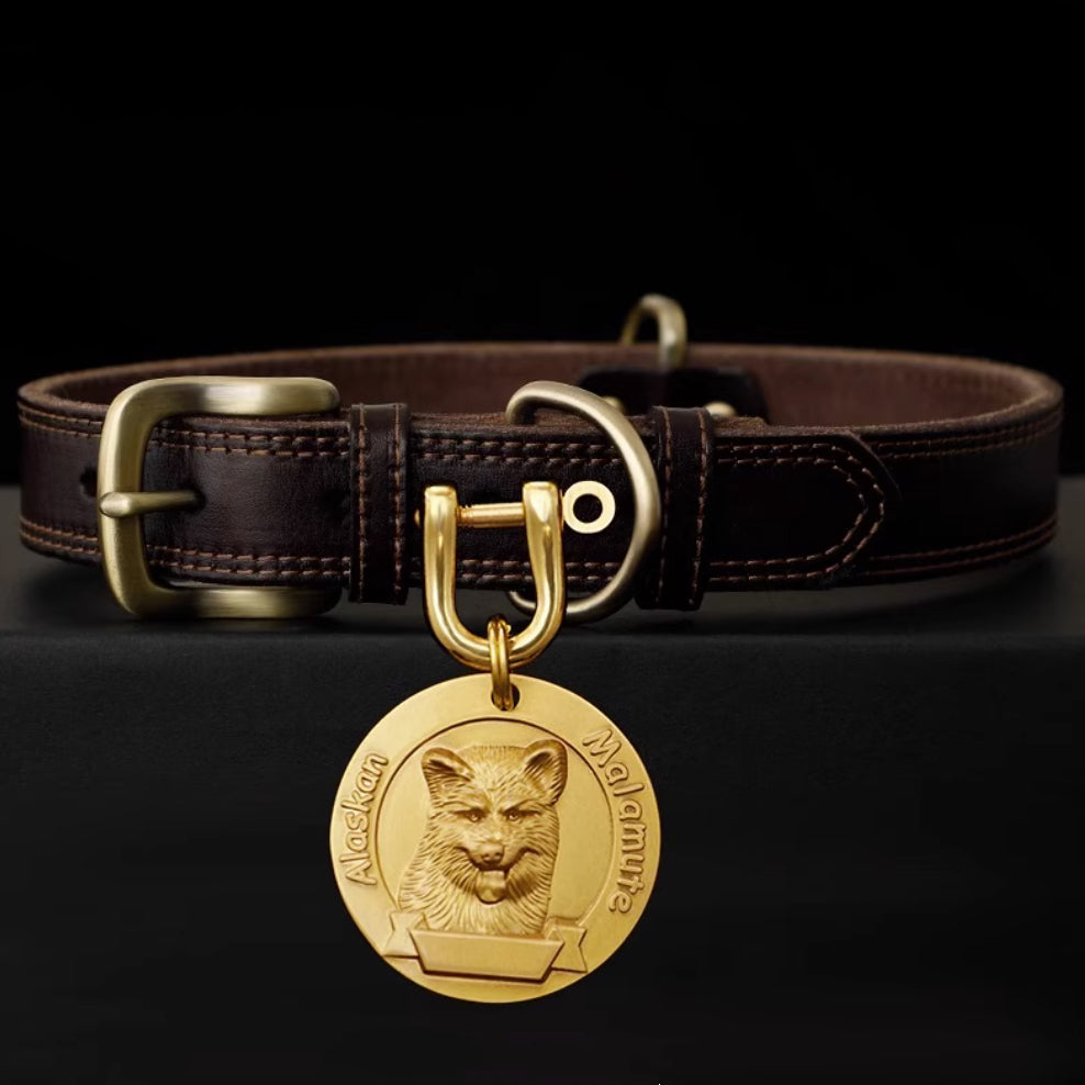 Brown leather dog collar with engraved brass tag showing Alaskan Malamute head.