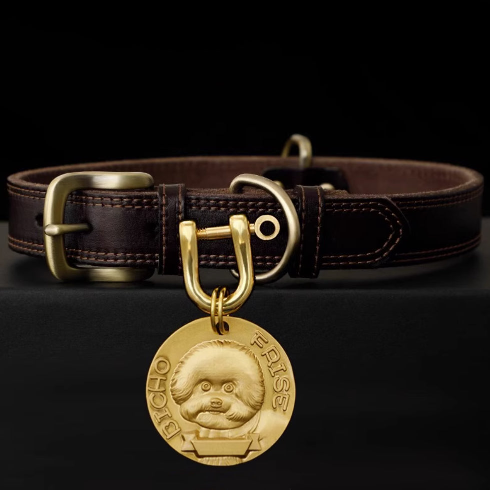 Brown leather collar with brass tag featuring Bichon Frise design.