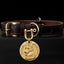 Leather dog collar with engraved brass tag featuring German Shepherd portrait.