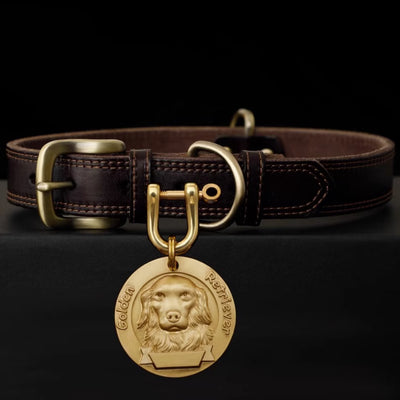 Leather dog collar with engraved brass tag showing Golden Retriever relief.
