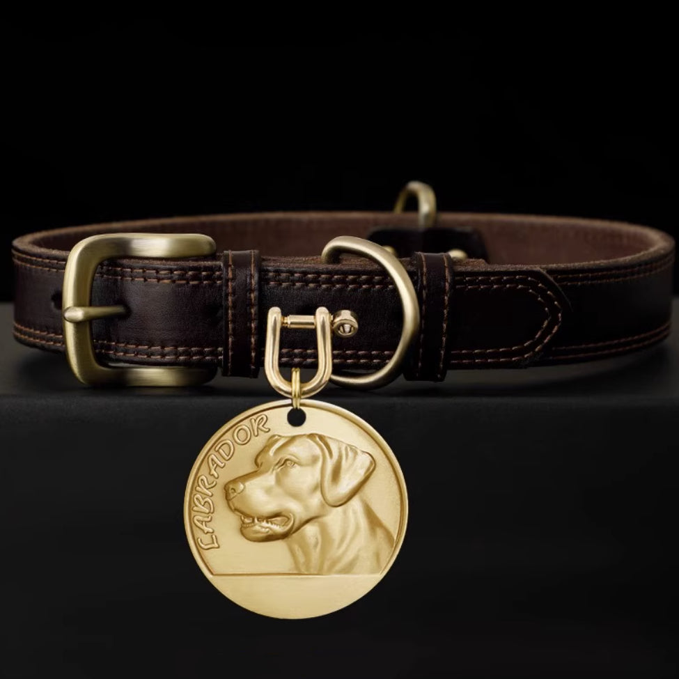 Brown leather collar with Labrador head engraved brass tag.