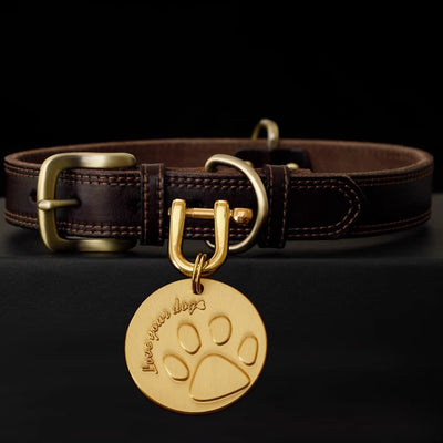 Brown leather dog collar with engraved brass tag featuring a paw print design.