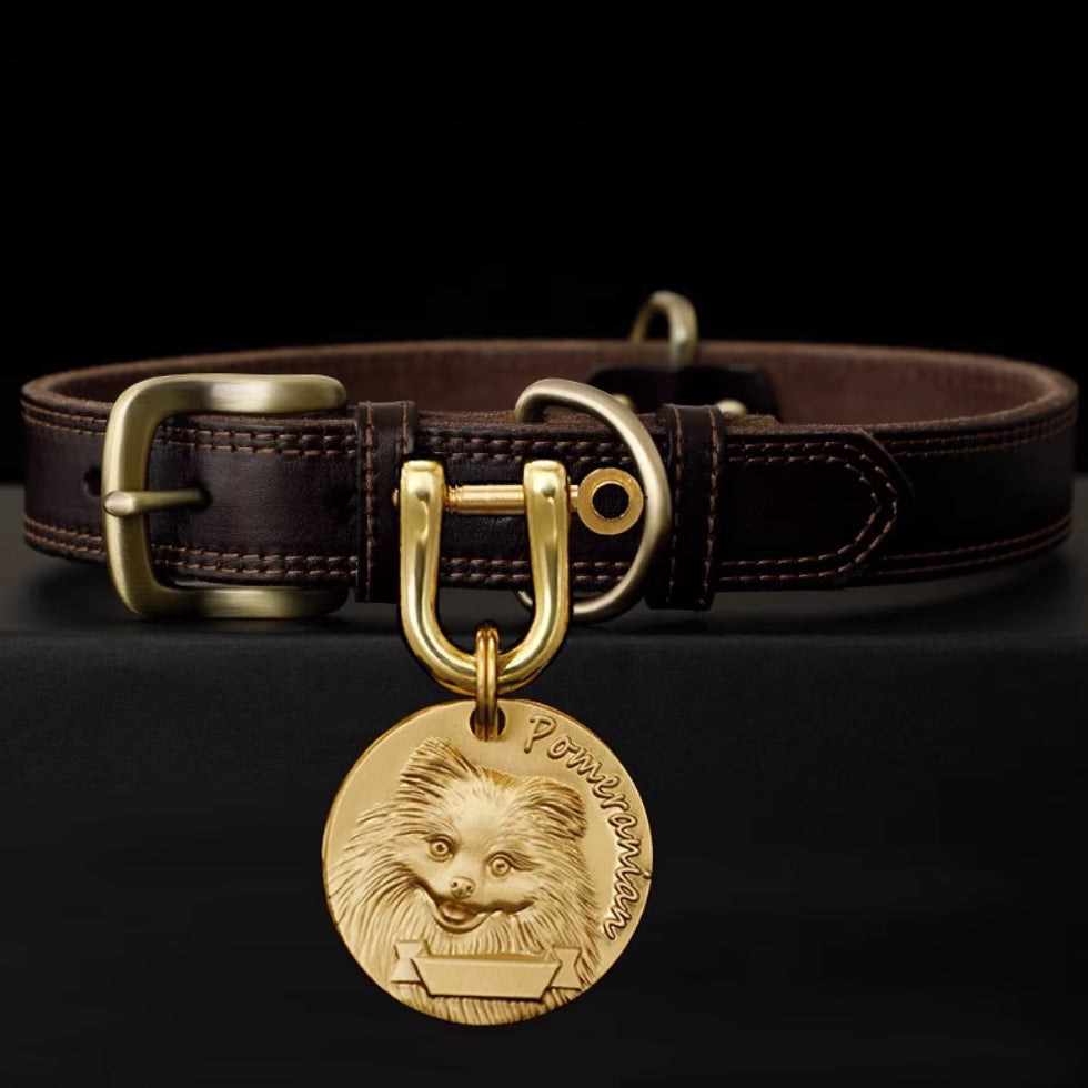 Handcrafted leather dog collar with brass Pomeranian tag.