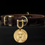 Leather dog collar with engraved brass tag featuring a Poodle portrait.