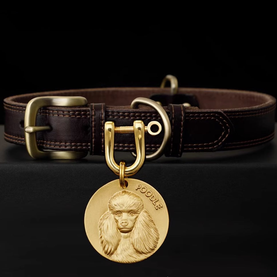 Leather dog collar with engraved brass tag featuring a Poodle portrait.