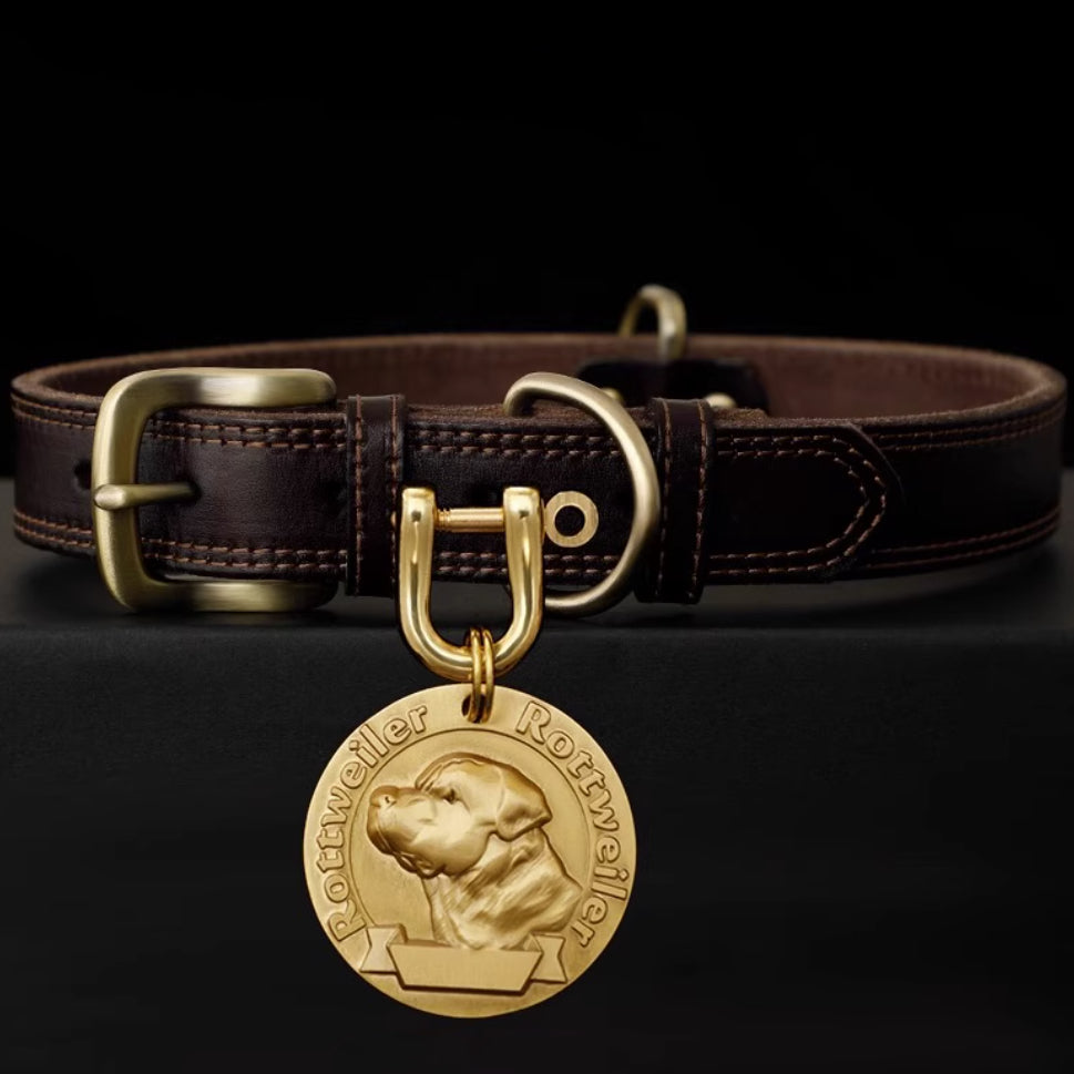 Leather collar with gold Rottweiler tag, ideal for strong breeds.