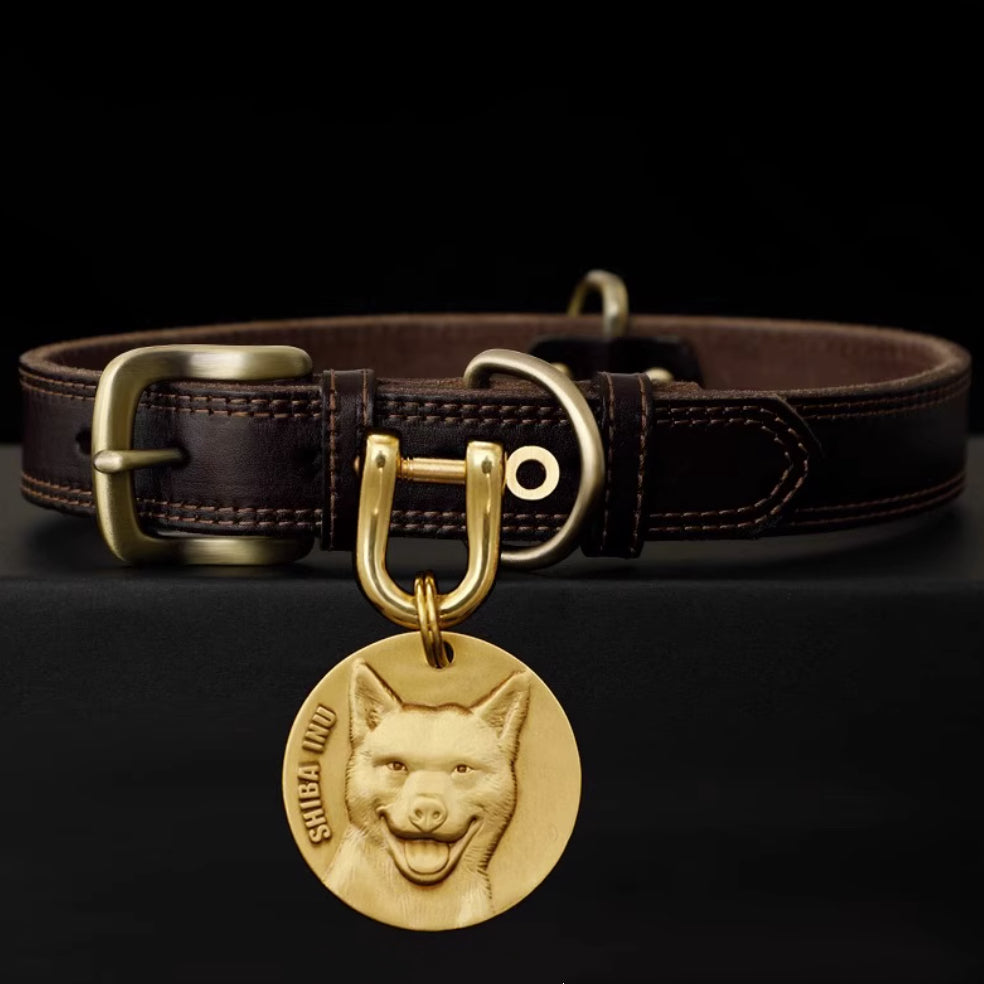 Brown leather dog collar with brass tag engraved with Shiba Inu portrait.