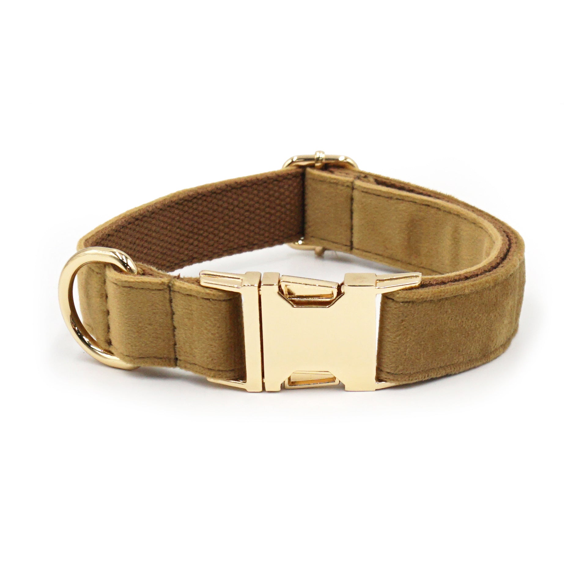 Camel color velvet pet collar with engraved gold buckle, perfect for medium dogs or cats.
