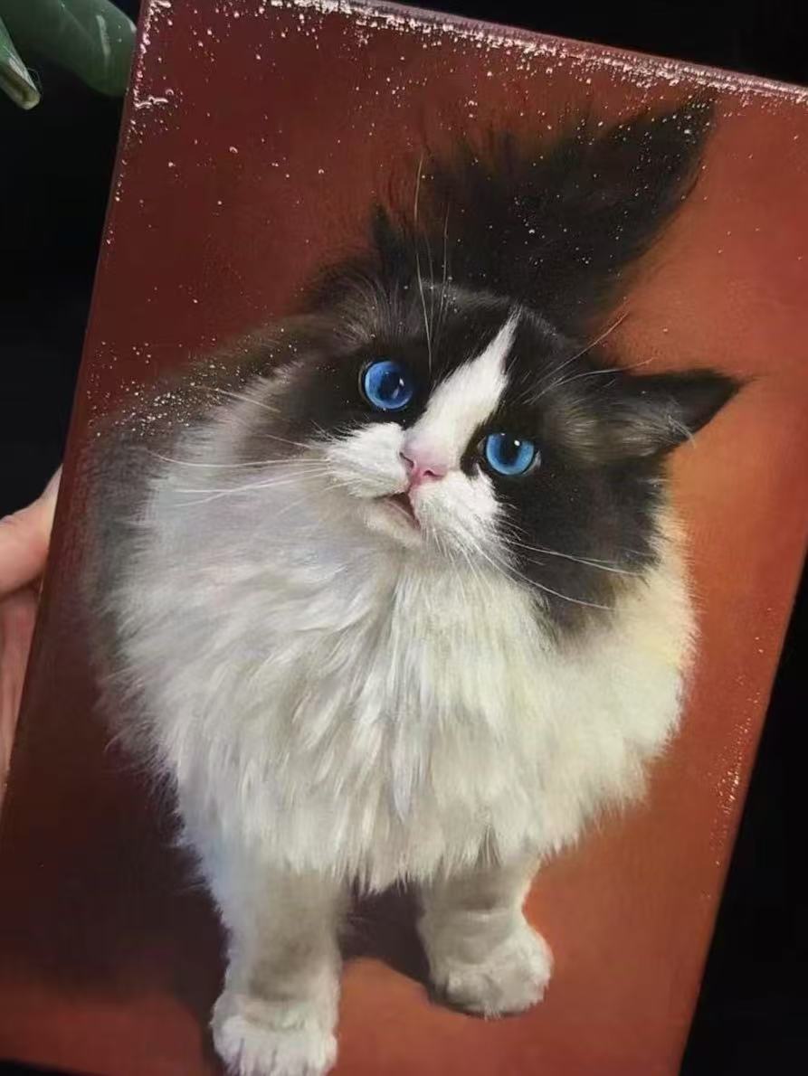 A hand-painted custom oil portrait of a fluffy black-and-white cat with striking blue eyes, depicted on a canvas with a warm reddish-brown background. The artwork captures lifelike fur texture and a gentle expression, ideal for commemorating a beloved pet.