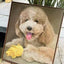 A hand-painted oil portrait of a cream-colored poodle with curly fur, resting with a bright yellow plush toy. The dog is depicted with its tongue out and a joyful expression, painted on canvas with soft, natural tones. A heartwarming keepsake for pet lovers.