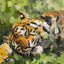 Expressive impasto-style oil painting of a tiger lying in the grass, featuring bold strokes and vivid colors.