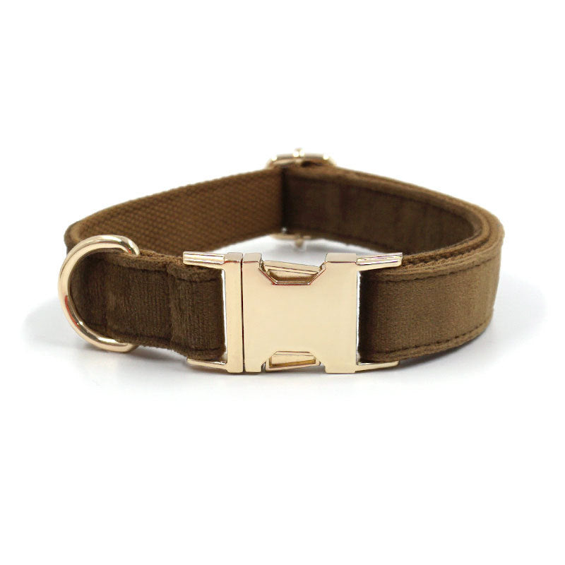 Dark brown velvet dog collar with gold buckle, durable and stylish for everyday wear.