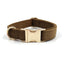 Dark green teddy fleece dog collar with gold buckle, warm and durable for stylish pets.