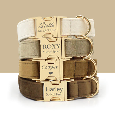 Set of engraved velvet pet collars in cream, light coffee, camel, and dark brown with gold buckles showing custom names.
