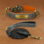 Gray PU leather dog collar with brass engraved nameplate and soft orange lining.