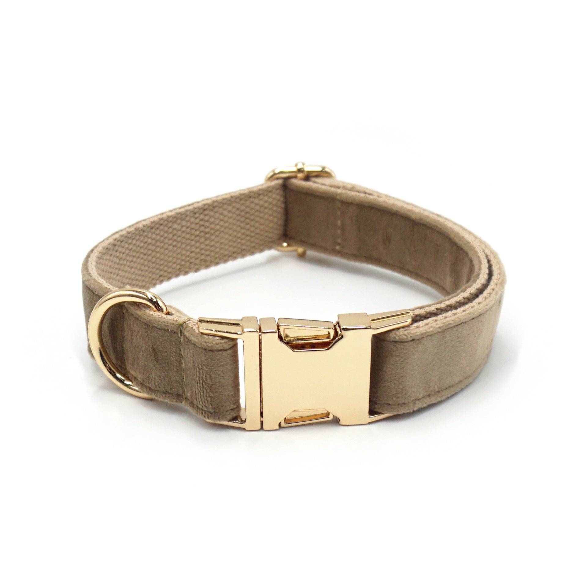 Light coffee velvet dog collar with shiny gold metal buckle, comfortable and elegant for pets.