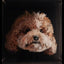 Layered glass art of a brown poodle’s face, showcasing handmade engraving with lifelike 3D effect.