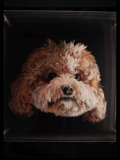 Layered glass art of a brown poodle’s face, showcasing handmade engraving with lifelike 3D effect.